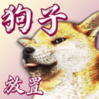 狗子放置3