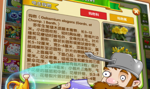 植物大战僵尸2国服