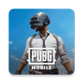 PUBGTOOL
