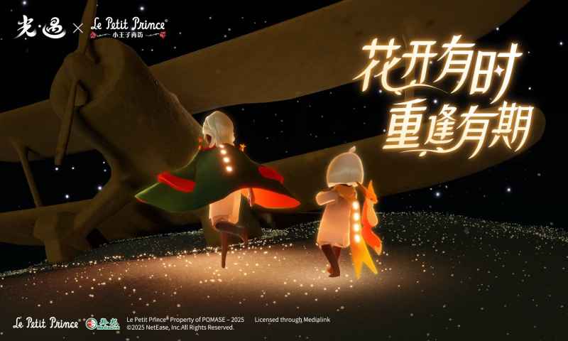 光遇sky白鸟全物品版截图1