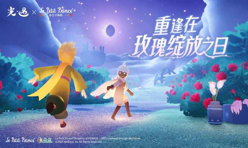 光遇sky白鸟全物品版截图2