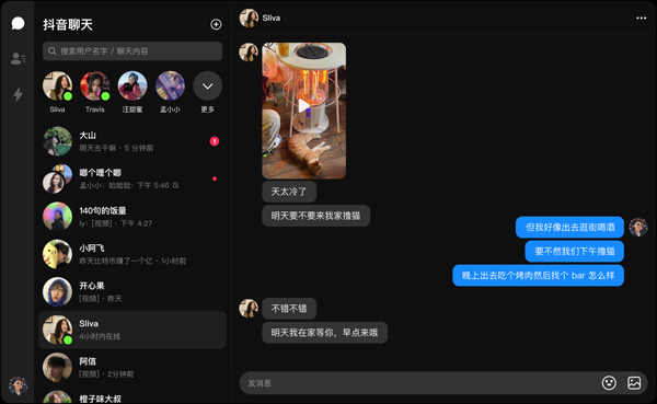 抖音聊天电脑版截图3