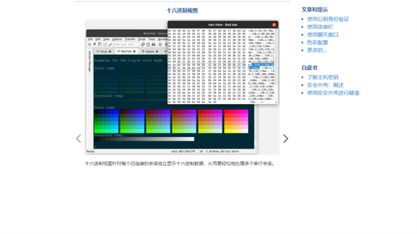 Securecrt SSH终端工具截图3