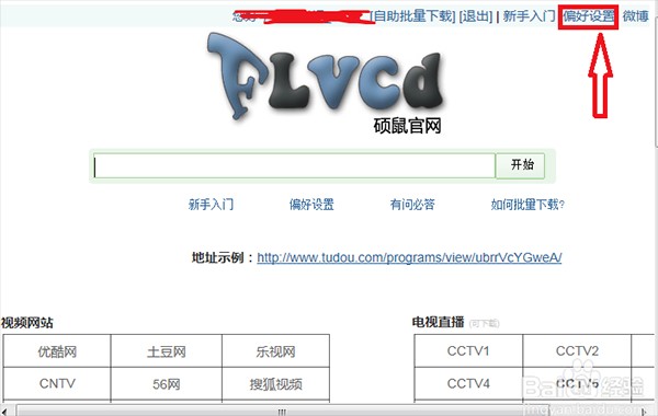 硕鼠FLV视频下载器截图