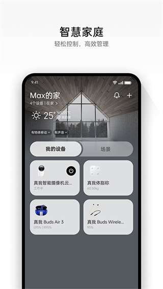 realme link智能设备连接截图3