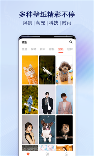 vivo主题商店app截图4