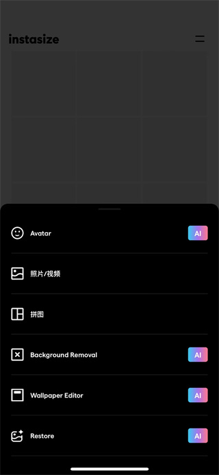 Instasize相机app