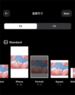 Instasize相机app