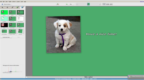 Picasa截图3
