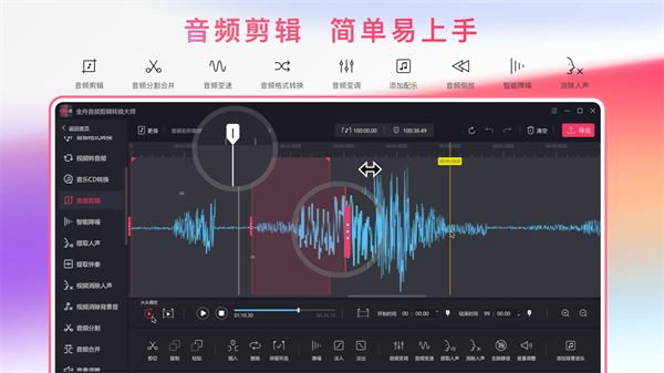 金舟音频大师电脑版截图2