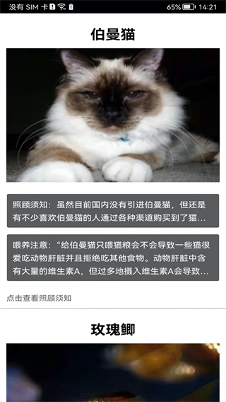 拍照识花神器截图4