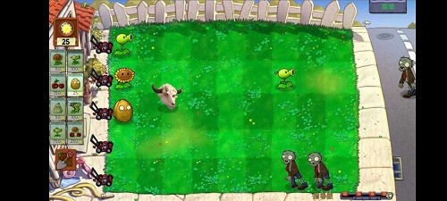 植物大战僵尸Ciaout版