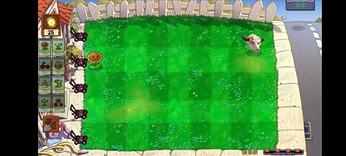 植物大战僵尸Ciaout版