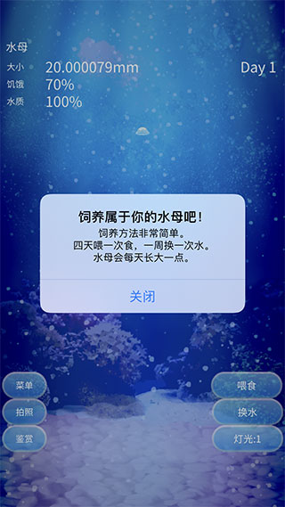 养育水母的治愈中文版截图2