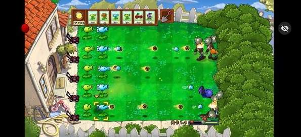 植物大战僵尸仿e支随机版