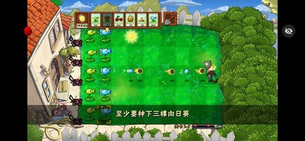 植物大战僵尸仿e支随机版