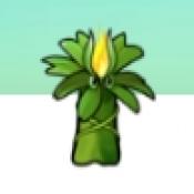 植物大战僵尸η版支线