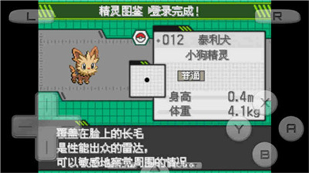 口袋妖怪萌娘进化游戏截图3