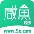 咸鱼无广告小说
