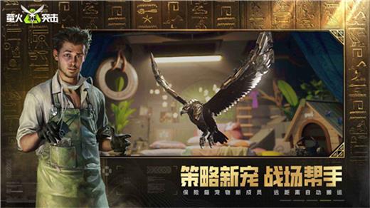 萤火突击网易官服截图2