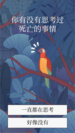 孤独的鸟儿正版截图3