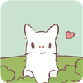 猫咪和汤国际版