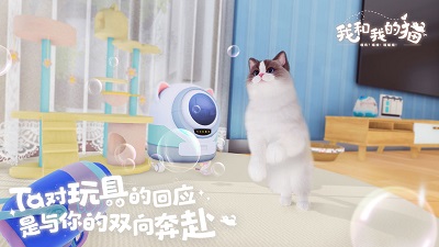 我和我的猫测试服截图1