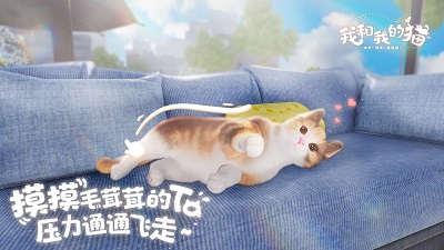 我和我的猫测试服截图2