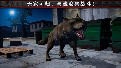 荒野流浪记截图2