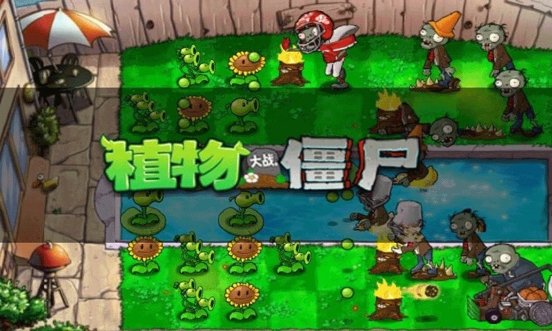 植物大战僵尸杰哥版