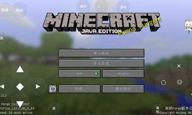 我的世界少年骇客全面进化