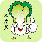 大白菜超级u盘