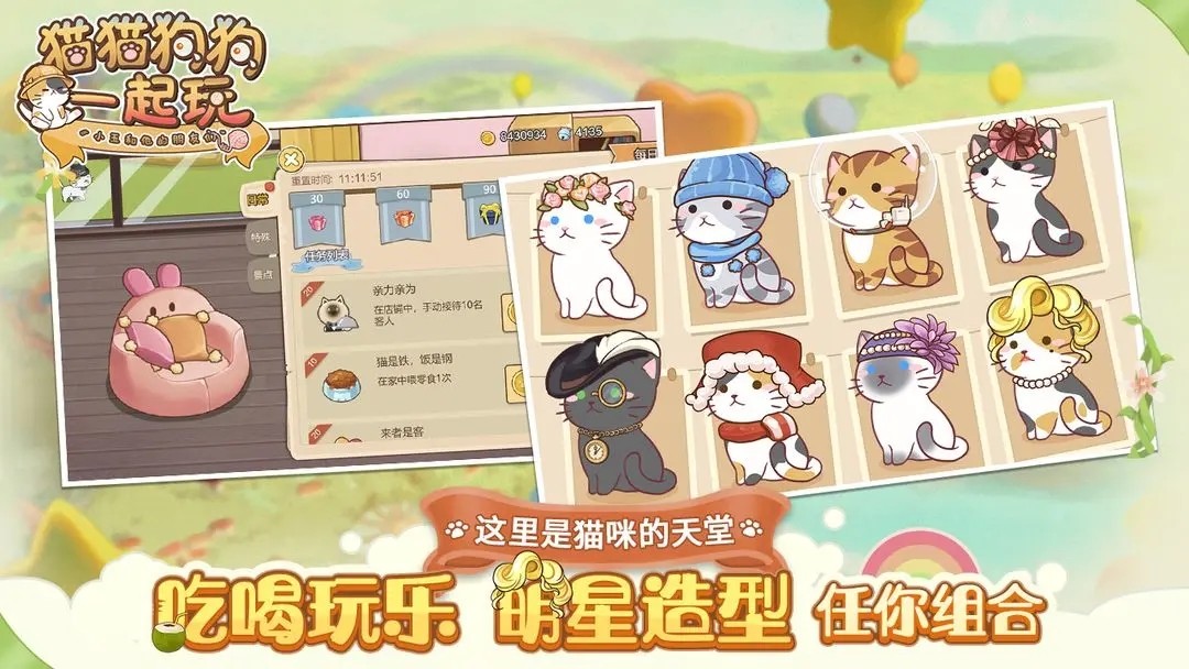 猫猫狗狗一起玩截图2