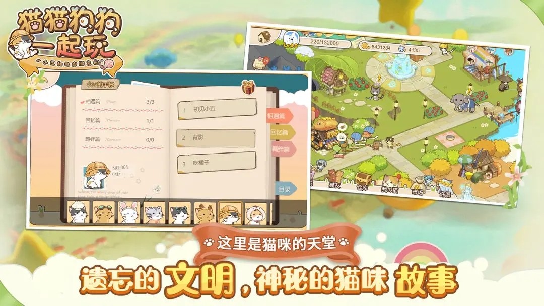 猫猫狗狗一起玩截图3
