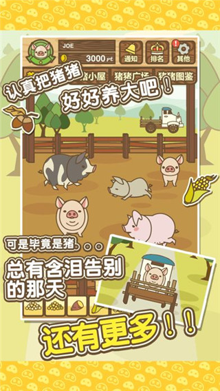养猪场mix截图1