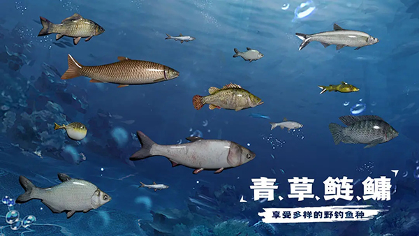 天天钓鱼截图4
