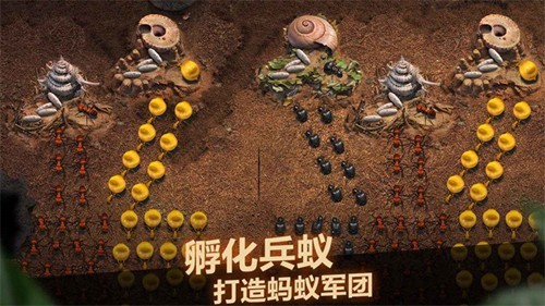 小小蚁国37官服截图3