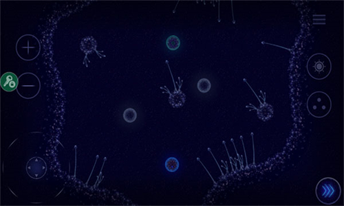 微生物模拟器完整版截图1