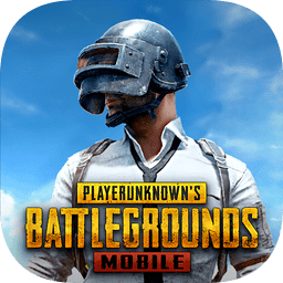 PubgNewState