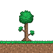 Terraria1.4.4.9