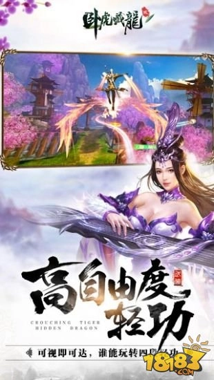 卧虎藏龙手游截图2
