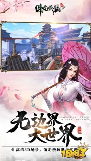 卧虎藏龙手游截图3