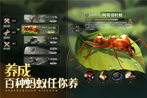 小小蚁国九游版截图3