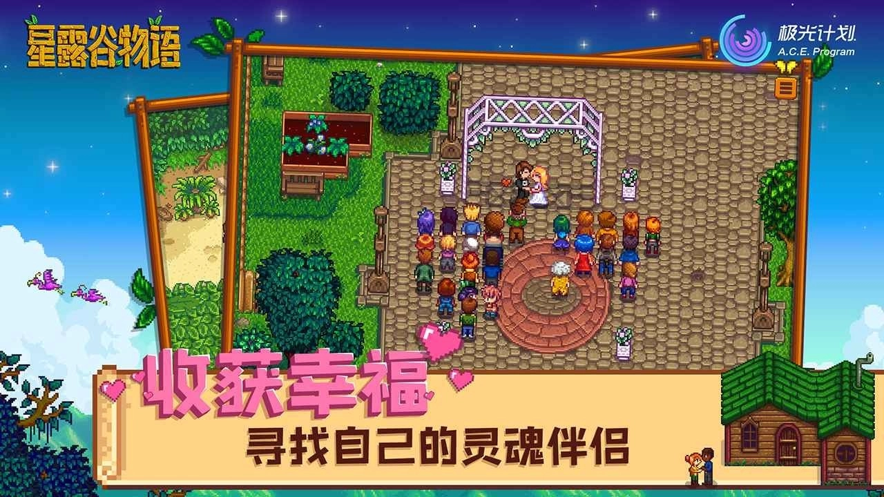 星露谷物语单机版截图3