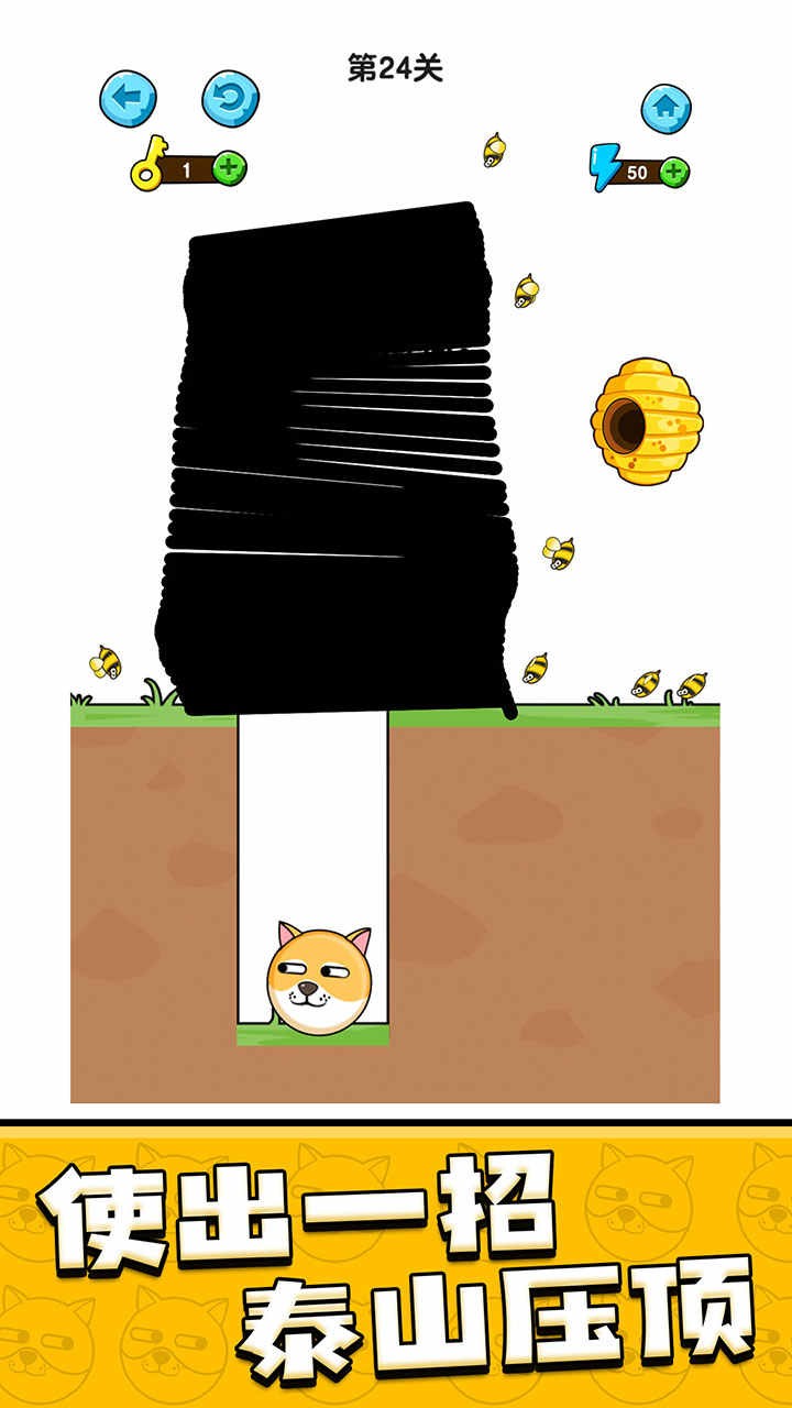 我的狗狗截图2