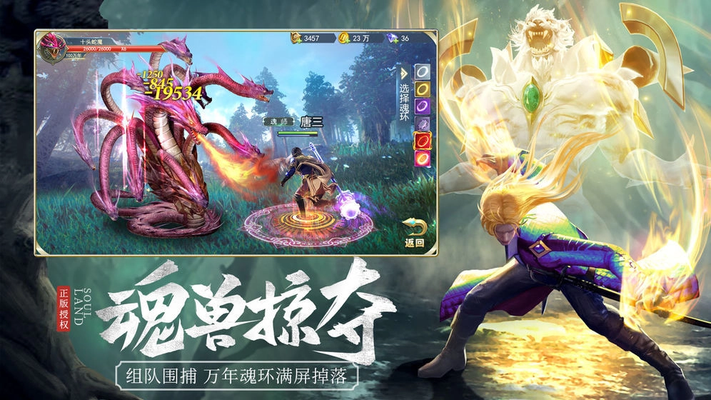 斗罗大陆截图3