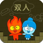森林冰火人