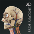 掌上3d解剖app