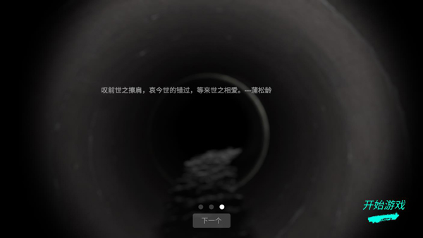 孙美琪疑案王勇截图1