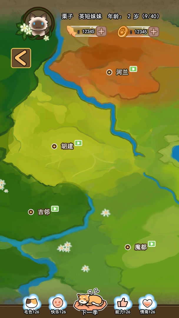 萌猫养成记游戏